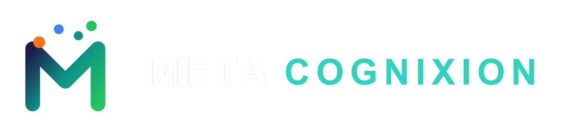 MetaCognixion